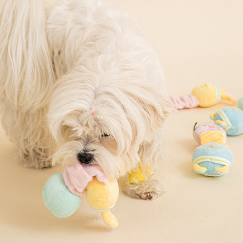 Bite me Stretchy toy 彈力小兔/熊仔
