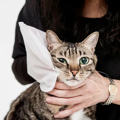 草本抑菌抹身手套 防蚊防蚤/ 擦澡手套 5入/包