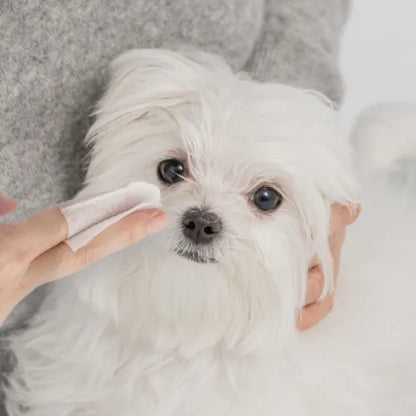 植萃清潔指套 植萃清潔淚痕指套 40入/包