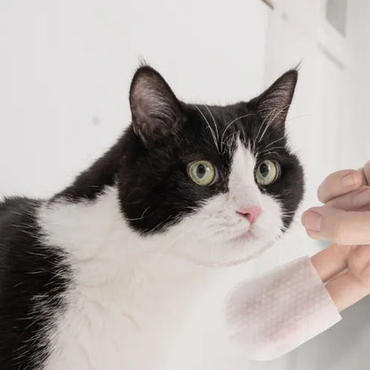 植萃清潔指套 植萃清潔淚痕指套 40入/包