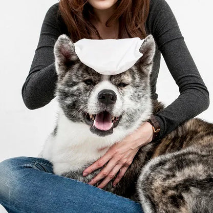 草本抑菌抹身手套 防蚊防蚤/ 擦澡手套 5入/包