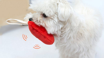 DINGDOG 狗狗嗅覺玩具 - 愛心